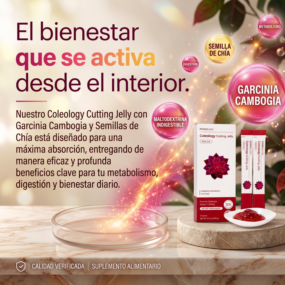 Foodology Coleology Cutting Jelly Cuidado DIario 10 Unidades